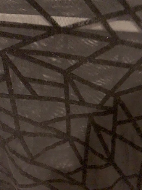Short Transparent Spider T-Shirt